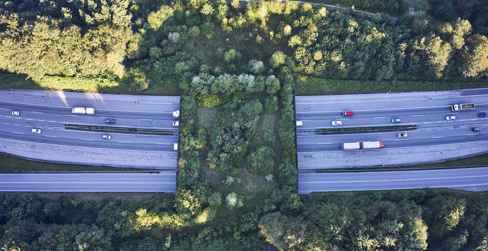 Wildtierbrücke über A1
