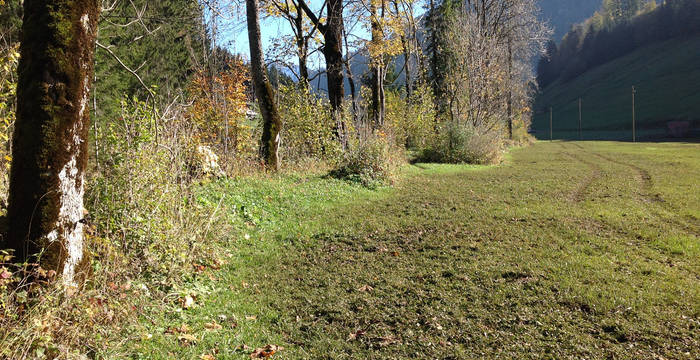 Legende: Die Untersuchung von Pro Natura hat herausgefunden: Im Kanton Fribourg wurden 83 von 138 untersuchten Pufferstreifen zwischen Kulturland und Bächen, Hecken und Wäldern illegalerweise gedüngt.