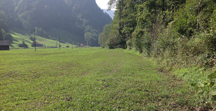 Legende: Die Untersuchung von Pro Natura hat herausgefunden: Im Kanton Fribourg wurden 83 von 138 untersuchten Pufferstreifen zwischen Kulturland und Bächen, Hecken und Wäldern illegalerweise gedüngt.