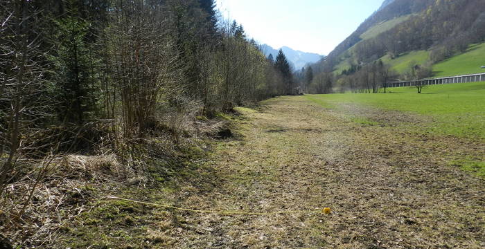 Legende: Die Untersuchung von Pro Natura hat herausgefunden: Im Kanton Fribourg wurden 83 von 138 untersuchten Pufferstreifen zwischen Kulturland und Bächen, Hecken und Wäldern illegalerweise gedüngt.