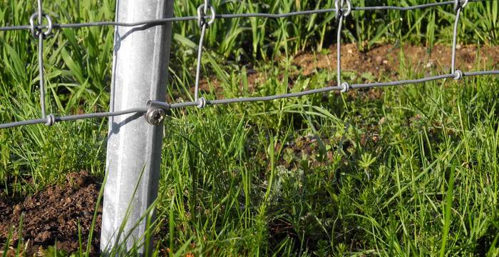 Mauern, Zäune und Netze zerschneiden als Barrieren die Lebensräume von Tieren. Zäune und Netze sind gefährliche Fallen für Igel, Vögel, Füchse, Dachse und andere Tiere. Beim Durchschlüpfen können die Tiere sich verletzen oder verhängen und qualvoll verenden.