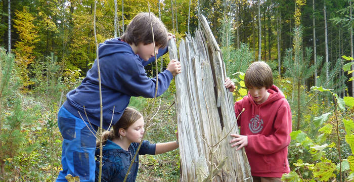 Drei Kinder spielen um einen Baumstamm