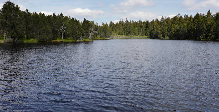 Blick auf den Etang de la Gruère im Sommer