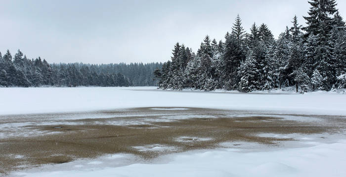 Auch im Winter ist der Etang de la Gruère einen Besuch wert