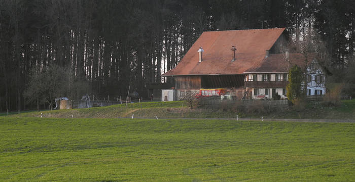 Ferme au bord de la route dans la forêt