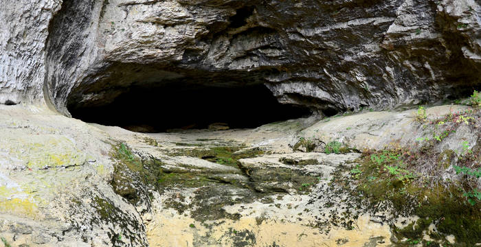 Die unterirdischen Lebensräume sind noch wenig erforscht.