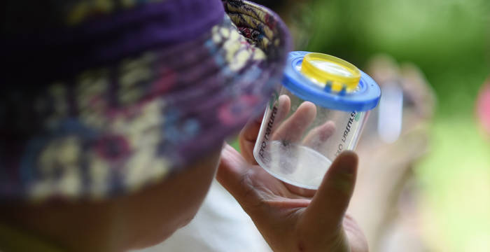 La loupe gobelet est un outil fort utile lors de sorties dans la nature.