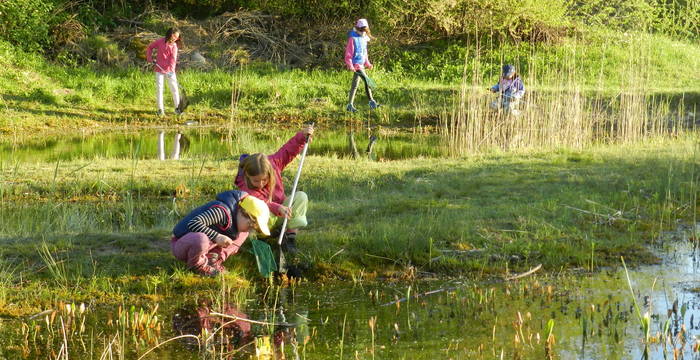 Observation minutieuse d'une mare.