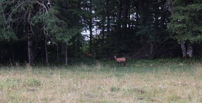 Sommerlager „Ab in den Wilden Westen“ Tag 2