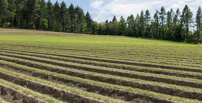 Ackerbau_cr_Matthias_Sorg