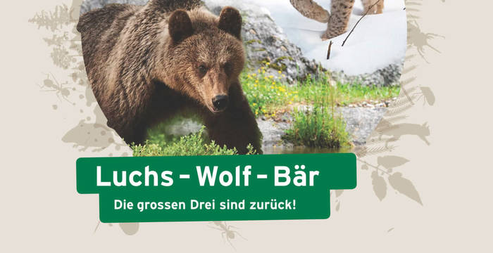 «Luchs Wolf Bär – Die grossen Drei kehren zurück!» Die Unterrichtshilfe für einen lebendigen Unterricht, forschen, diskutierten, reflektierend für Zyklus 2.