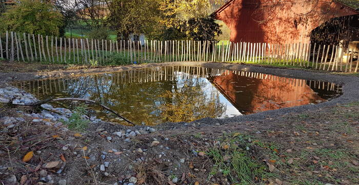 Fertig gestellter Amphibientümpel