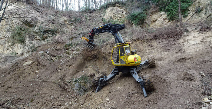 Schreitbagger im Horngraben (Riehen)