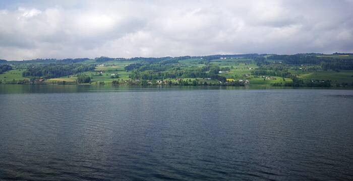 Baldeggersee - die Idylle trügt. Foto: Samuel Ehrenbold