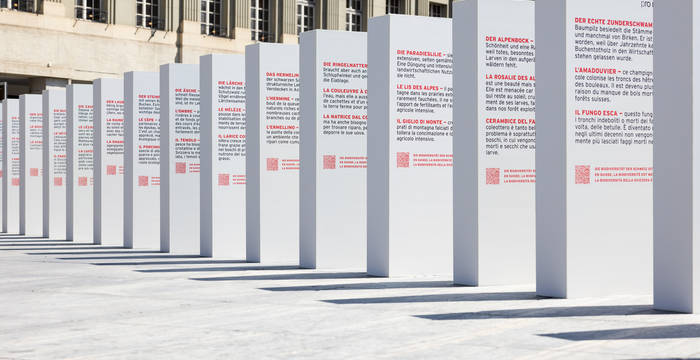 La crisi della biodiversità - un gigantesco effetto domino in Piazza federale