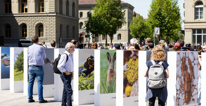 La crisi della biodiversità - un gigantesco effetto domino in Piazza federale