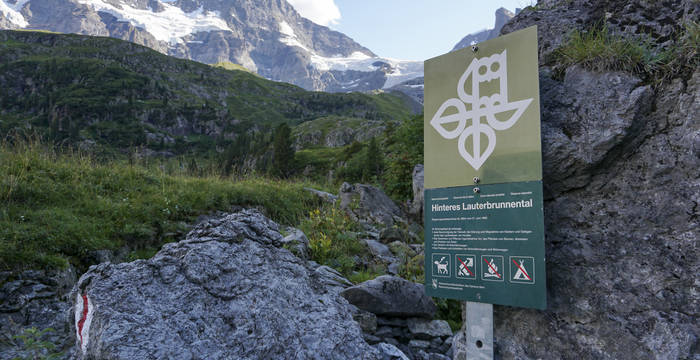 Um das Artensterben in der Schweiz aufzuhalten, braucht die Natur dringend mehr, besser geschützte und vernetzte Flächen, etwa das Schutzgebiet «Hinteres Lauterbrunnental».  © Jan Guerke