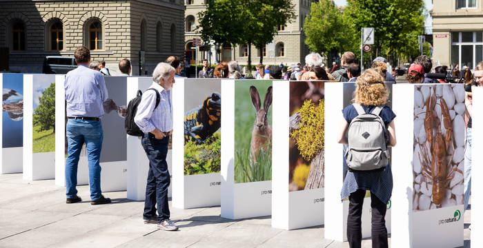 Die Krise der Biodiversität - ein gigantischer Dominoeffekt auf dem Bundesplatz. © Pro Natura