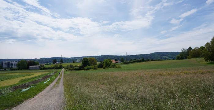 Wege für Menschen aber nicht für Tiere. Es fehlt die Vernetzung des Amphibienlaichgebiets von nationaler Bedeutung im Chrutzelried mit anderen Naturflächen.