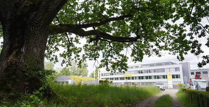 Der Besucherdruck im Chrutzelried ist hoch. Auf dem Perimeter des Schutzgebiets befindet sich ein illegaler Parkplatz.