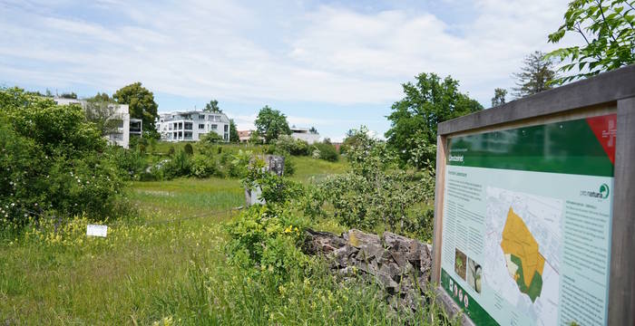 Das Schutzgebiet Chrutzelried ist klein und umgeben von Siedlung, Industrie und Landwirtschaft.