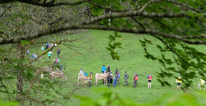 Öktopia 2024 Unterwegs in der Natur. © Florian Jermann
