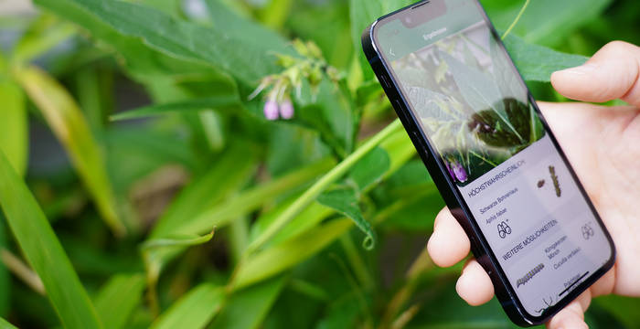 Die Pro Natura-App in der Anwendung