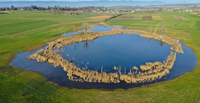 Neue Naturfläche aus der Vogelperspektive: Aus der Luft wird die Dimension des neuen, 12 Hektar grossen Naturschutzgebiets fassbar. © Timon Bucher, Urbanum AG 