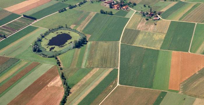 Im Verschwinden begriffen: Die Aufnahme von 2003 zeigt den Lobsigensee, der zu verlanden drohte. © Markus Zeh