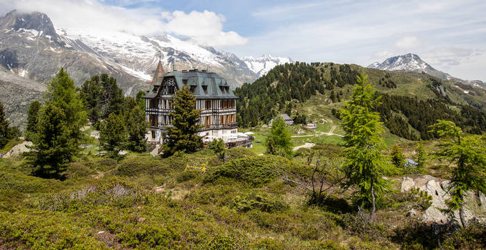 Alpengarten im Zentrum Aletsch