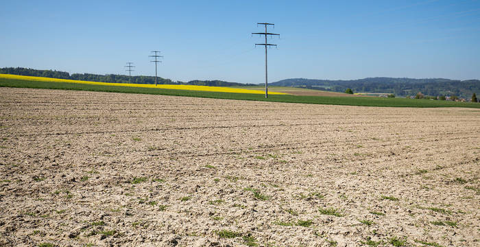 Symbolbild eintönige Kulturlandschaft © Matthias Sorg