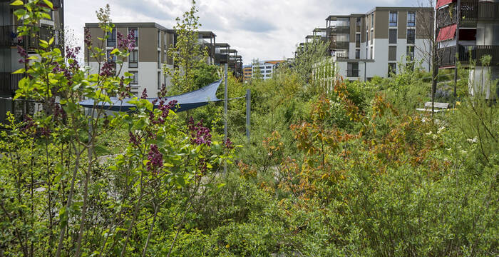 Natur im Siedlungsraum 