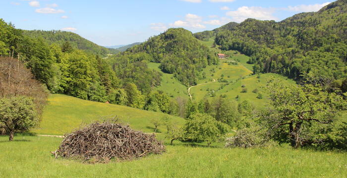 Bergmatte Reigoldswil