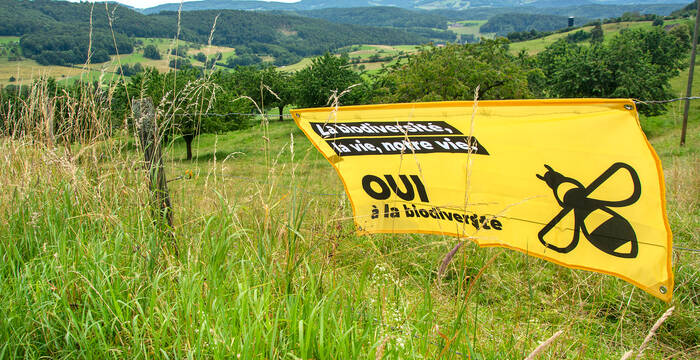 Drapeau de la campagne Oui à la biodiversité accroché au bord du chemin le 22 septembre