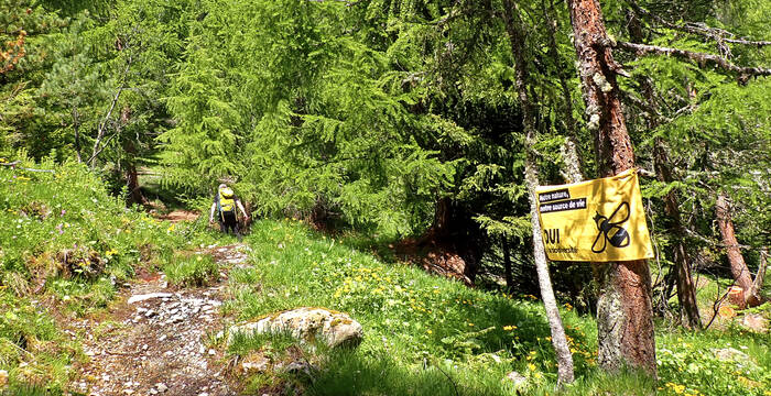 Kampagnenfahne Ja zur Biodiversität am 22. September am Wegrand aufgehängt