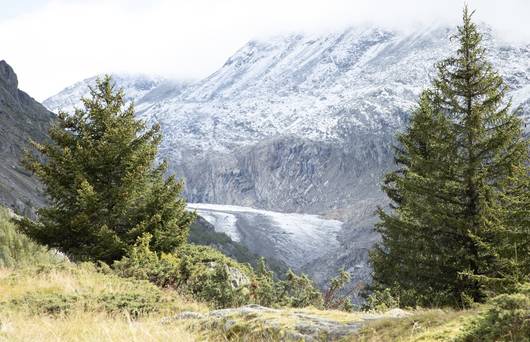Ausläufer Aletschgletscher von der Belalp-Seite