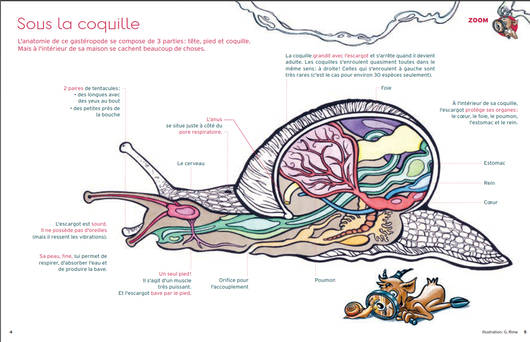 Les pages Zoom © Pro Natura
