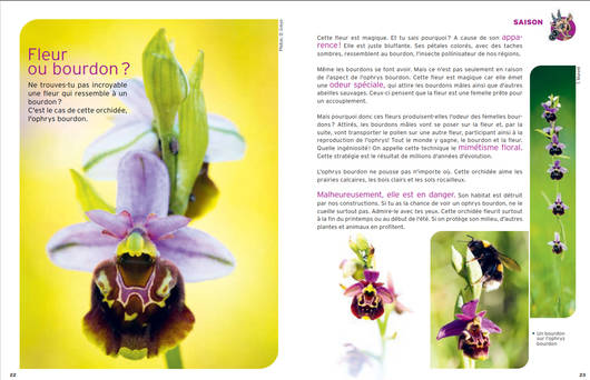 saison © Pro Natura