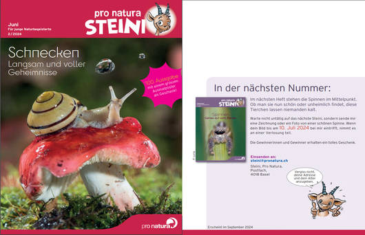 Titelbild letzte Seite © Pro Natura
