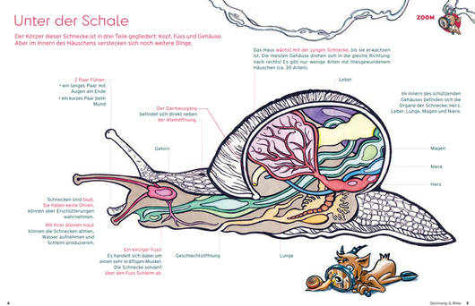 Zoomseite © Pro Natura