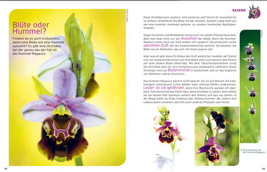 Jahreszeit © Pro Natura