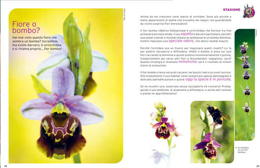 l'articolo stagionale