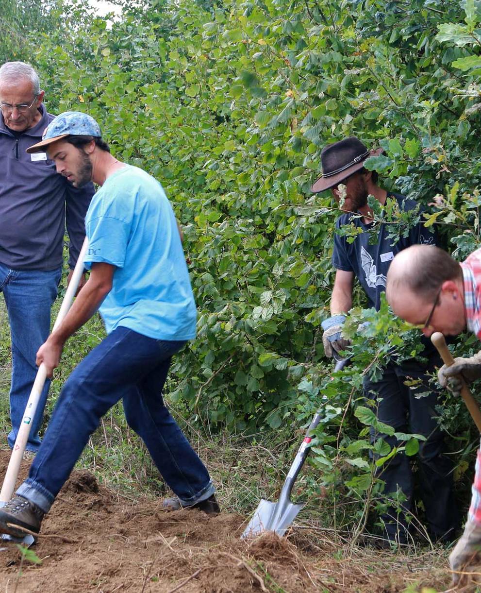 Arbeiten für Zauneidechse und Hermelin im Gros-de-Vaud