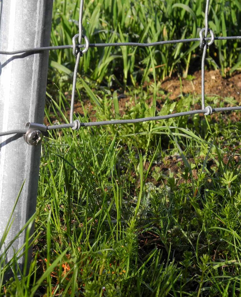 Mauern, Zäune und Netze zerschneiden als Barrieren die Lebensräume von Tieren. Zäune und Netze sind gefährliche Fallen für Igel, Vögel, Füchse, Dachse und andere Tiere. Beim Durchschlüpfen können die Tiere sich verletzen oder verhängen und qualvoll verenden.