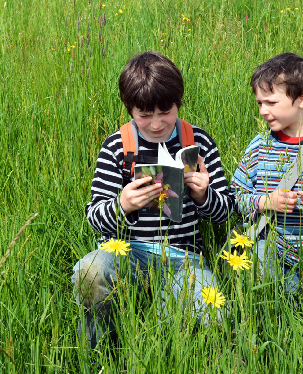 Buben beim botanisieren