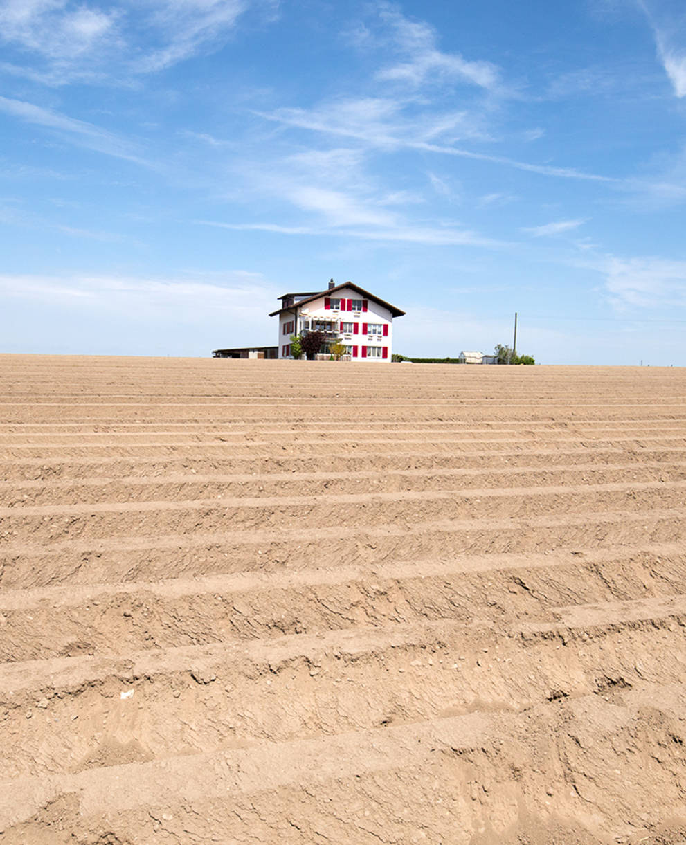 Un paysage agricole monotone