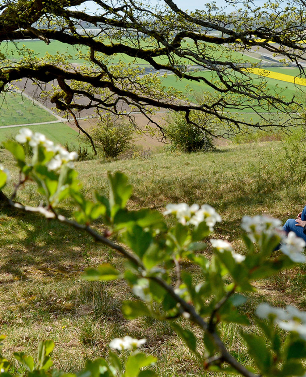 Fabia Vulliamoz im Schutzgebiet Chassagne d’Onnens