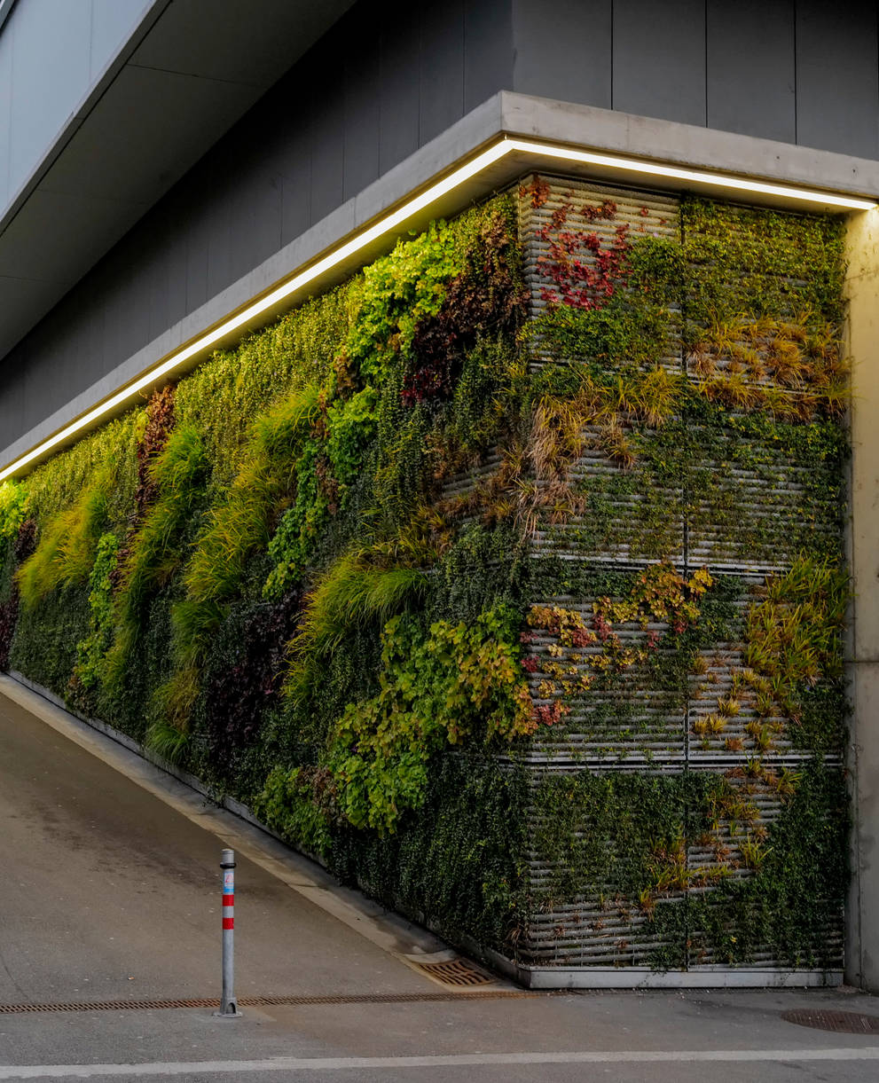 Begrünte Fläche neben Parkhaus @ Matthias Sorg