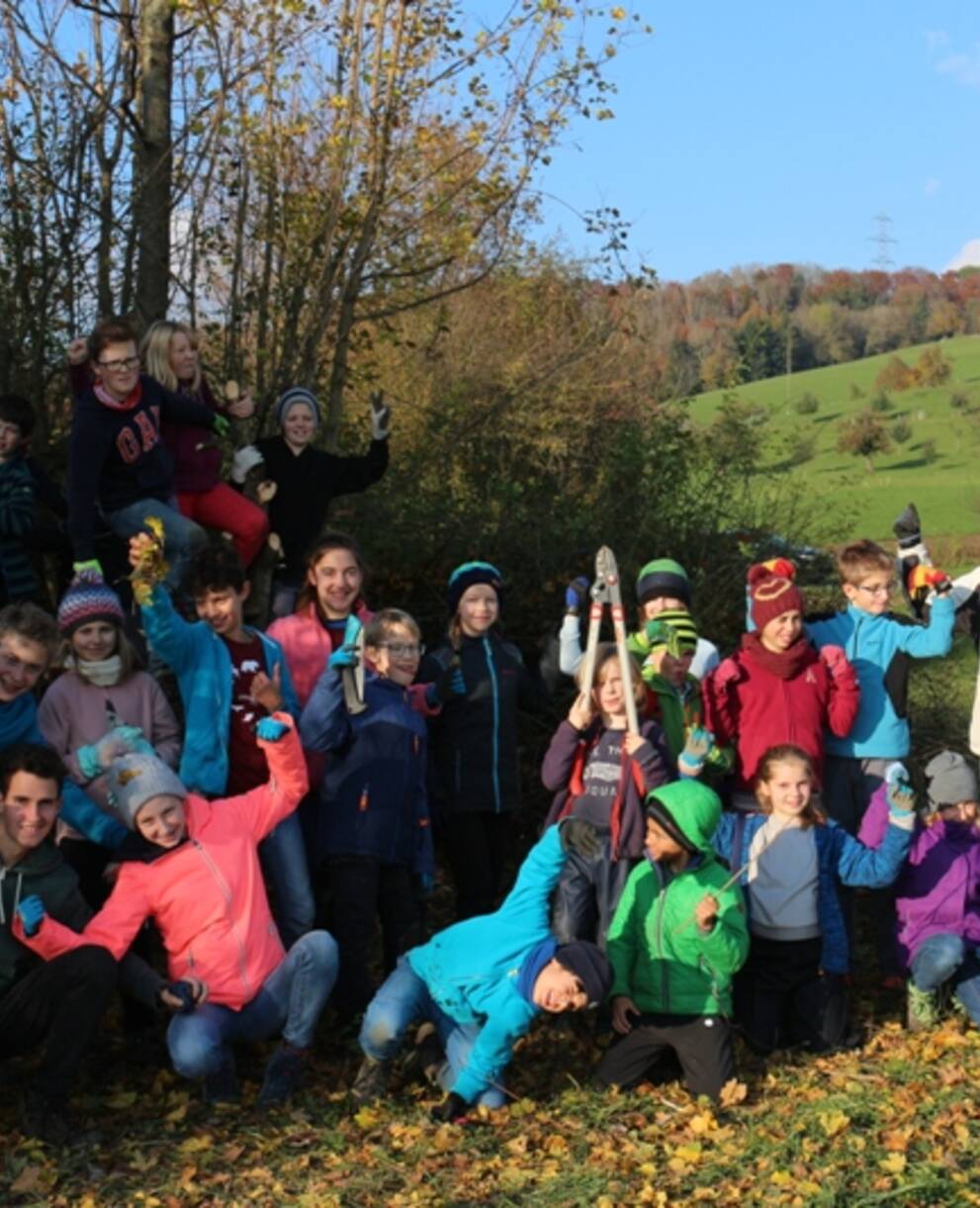 Bauernhof-Arbeitseinsatz