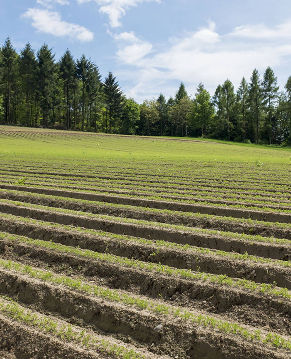 Ackerbau_cr_Matthias_Sorg